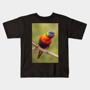 Rainbow Lorikeet Kids T-Shirt